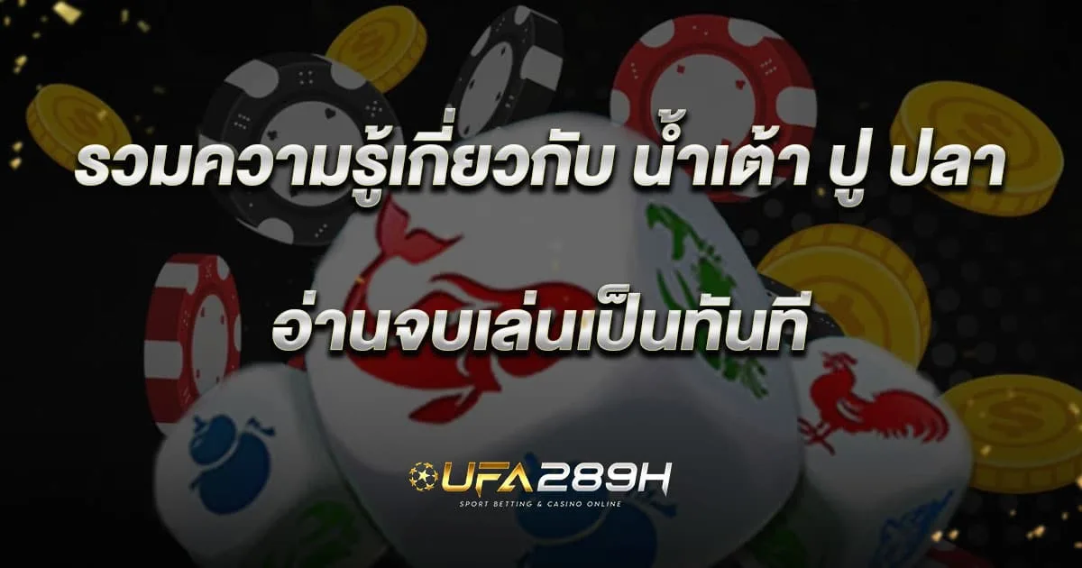 รวมความรู้เกี่ยวกับน้ำเต้าปูปลา อ่านจบเล่นเป็นทันที